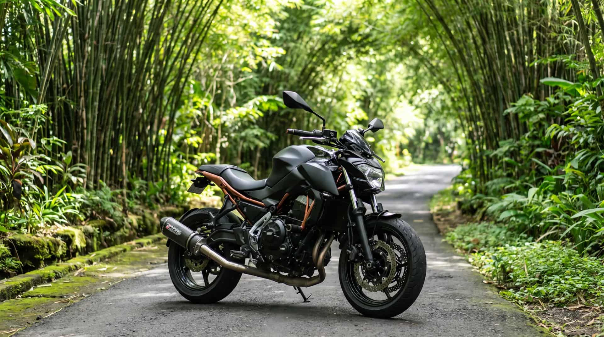 Kawasaki Z650 on a road through a bamboo forest tunnel in Bali