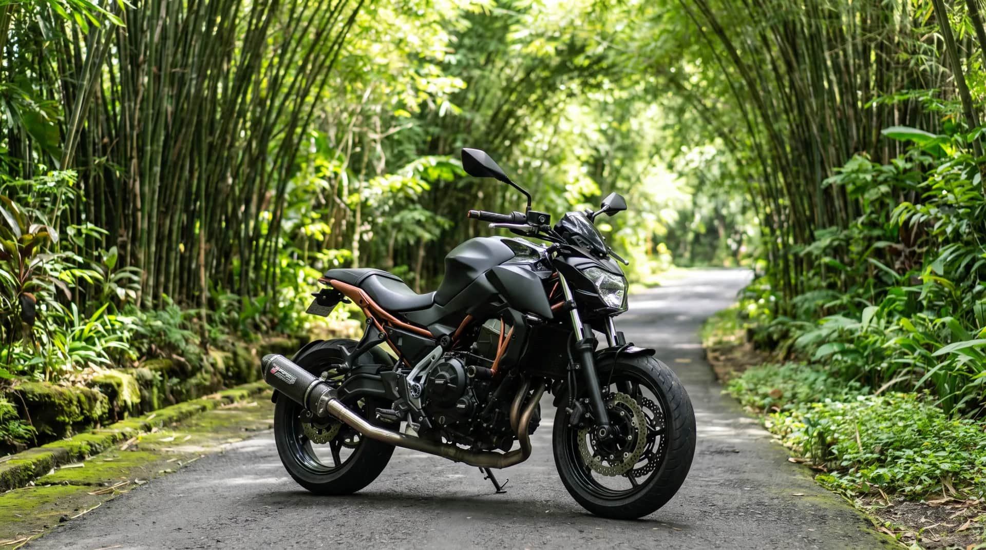 Kawasaki Z650 on a road through a bamboo forest tunnel in Bali