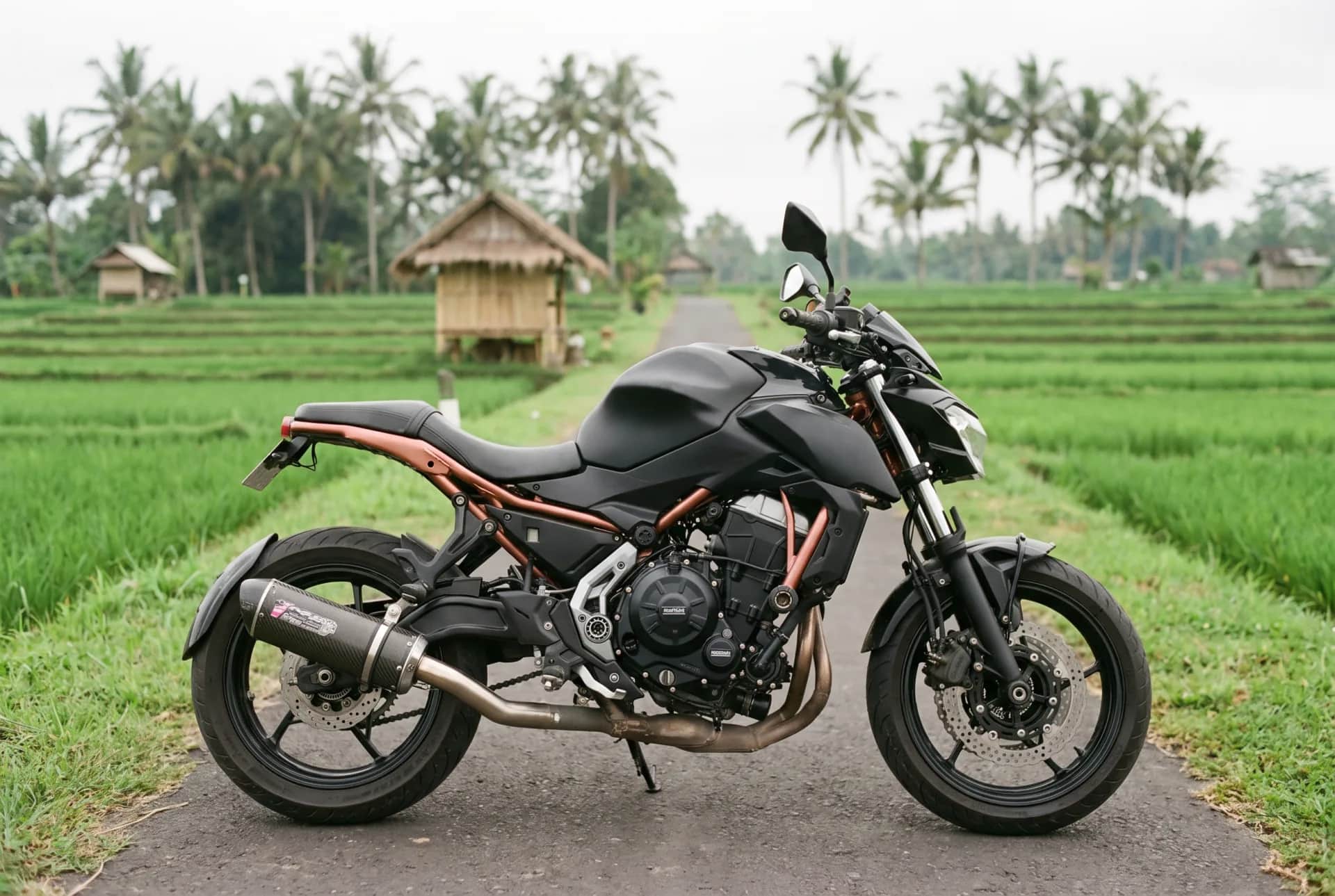 Side profile of the Kawasaki Z650 on a path through Bali rice fields