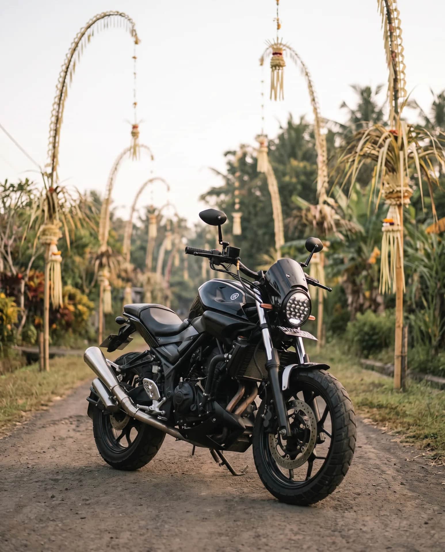 Yamaha MT-25 scrambler on a country lane lined with Balinese penjor poles