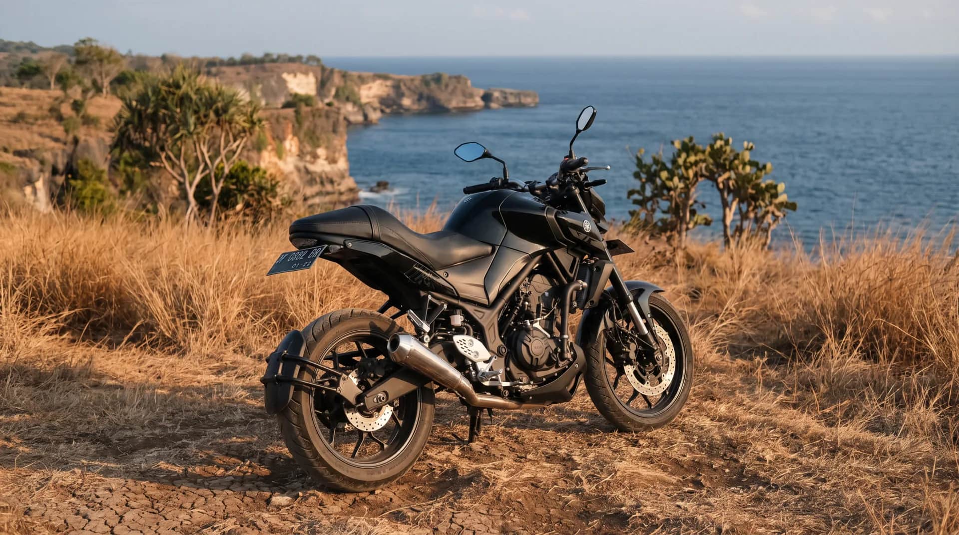 Yamaha MT-25 (2020) naked bike on a clifftop above the ocean in Bali