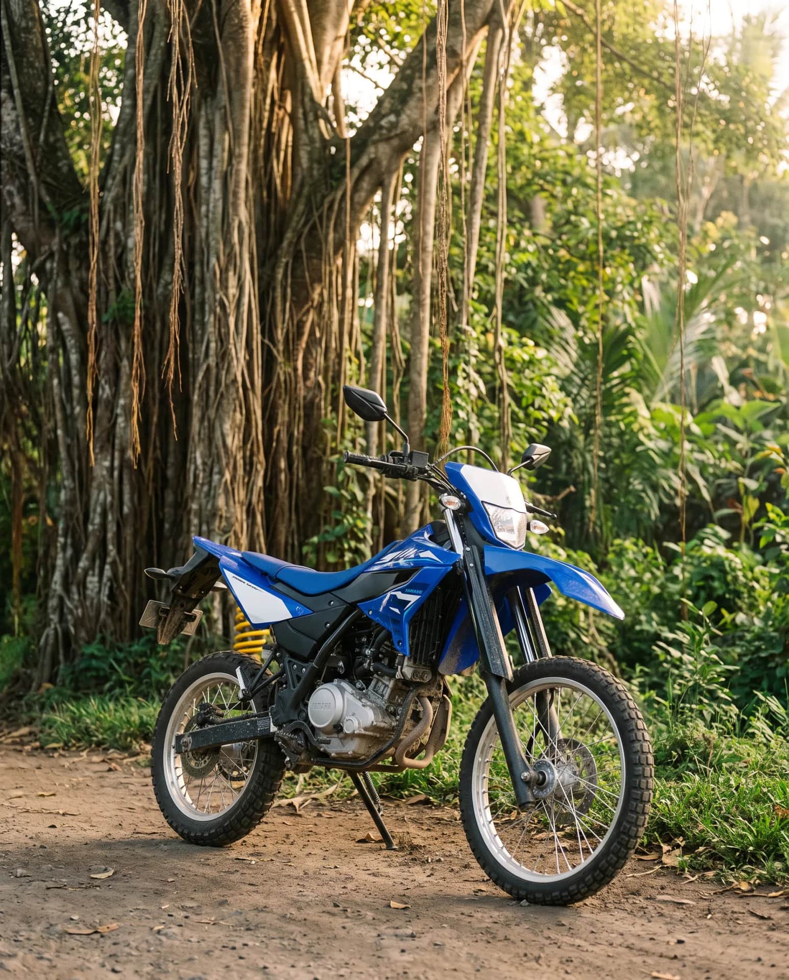 Blue Yamaha WR155 on a jungle trail among large tree roots in Bali in late afternoon light